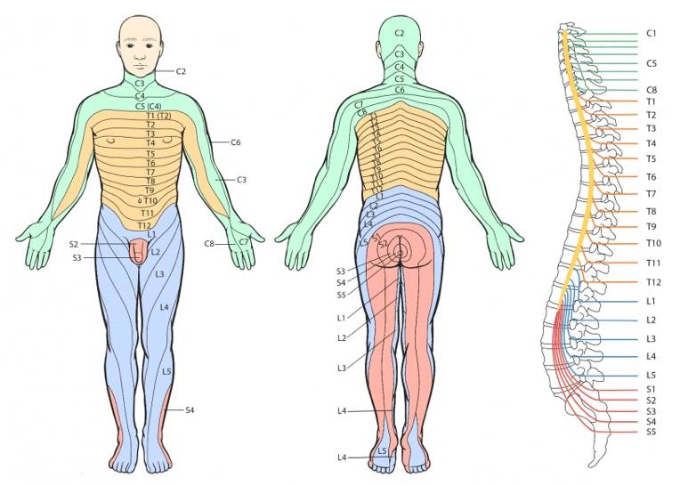 Sciatica Part 1: Symptoms, Causes, Diagnosis, Prevention, Management &  Treatment: Pain Care, LLC: Interventional Spine & Pain Management